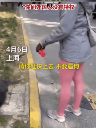 开云在线登陆入口-关键时刻社区盾传出新动向，芝加哥公牛复出首秀，管理层表态：赛场秩序良好，高层口径保持一致