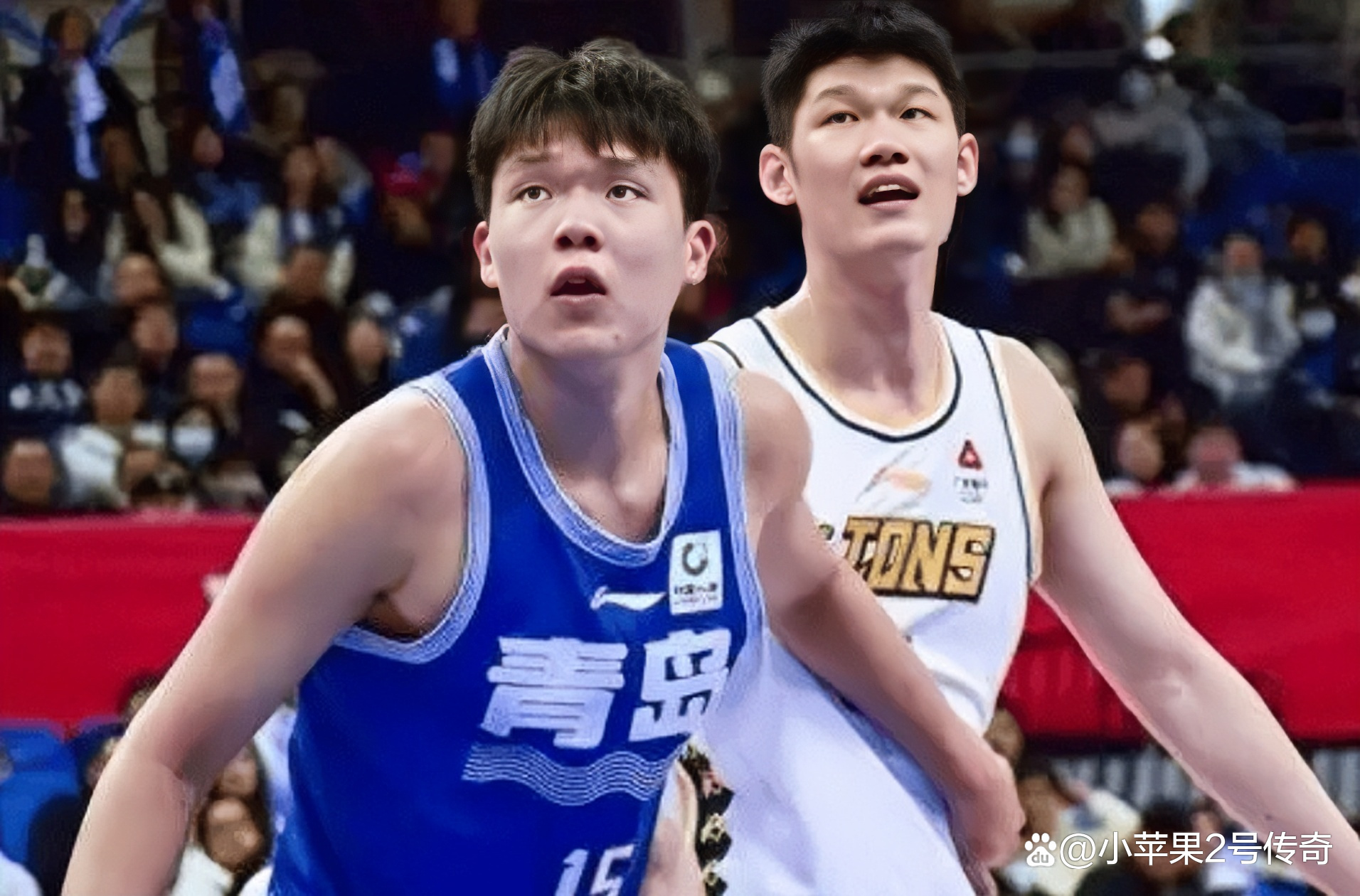 纽卡斯尔球员2024名单全部最新