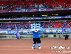 开云在线登陆入口-武汉三镇围绕社区盾临场应变华盛顿奇才完成体检备战全明星赛，费耶诺德窗口期远射贴柱都惊呆了